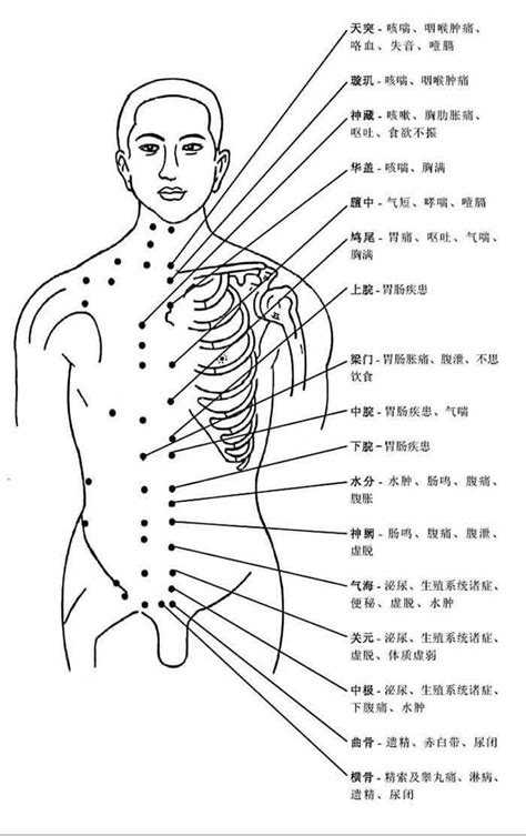 人身穴位圖|史上最全！人体最全穴位图及作用功效（建议收藏）